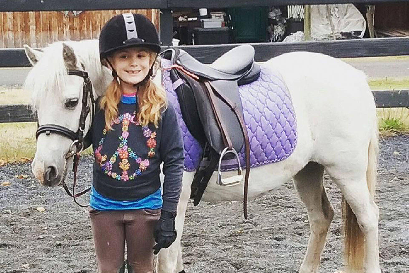 HORSEPLAY: Do your research before gifting a horse