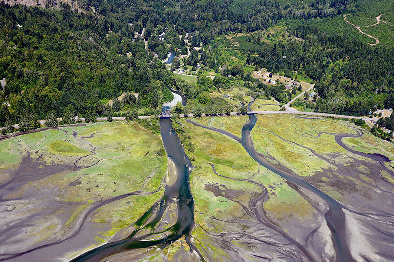 State awards more than $4.1 million for Peninsula salmon recovery projects