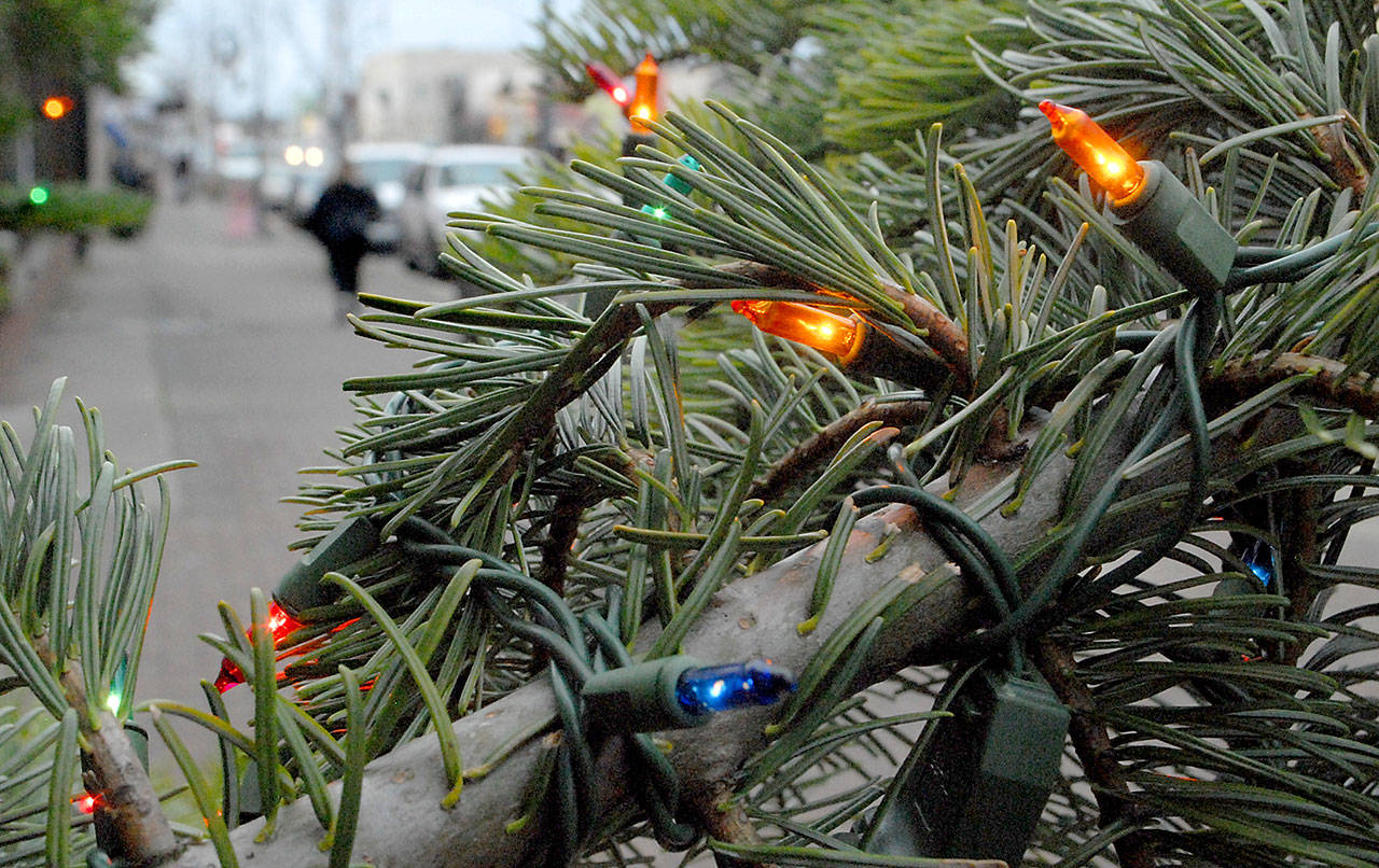 (Keith Thorpe/Peninsula Daily News)