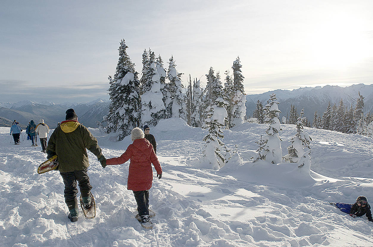 Families can join a ranger-guided snowshoe walk at Hurricane Ridge. Walks are offered at 2 p.m. weekends and holiday Mondays. The walk lasts 1.5 hours and covers less than a mile. Snowshoes and instructions are provided. (Michael Dashiell/Olympic Peninsula News Group)