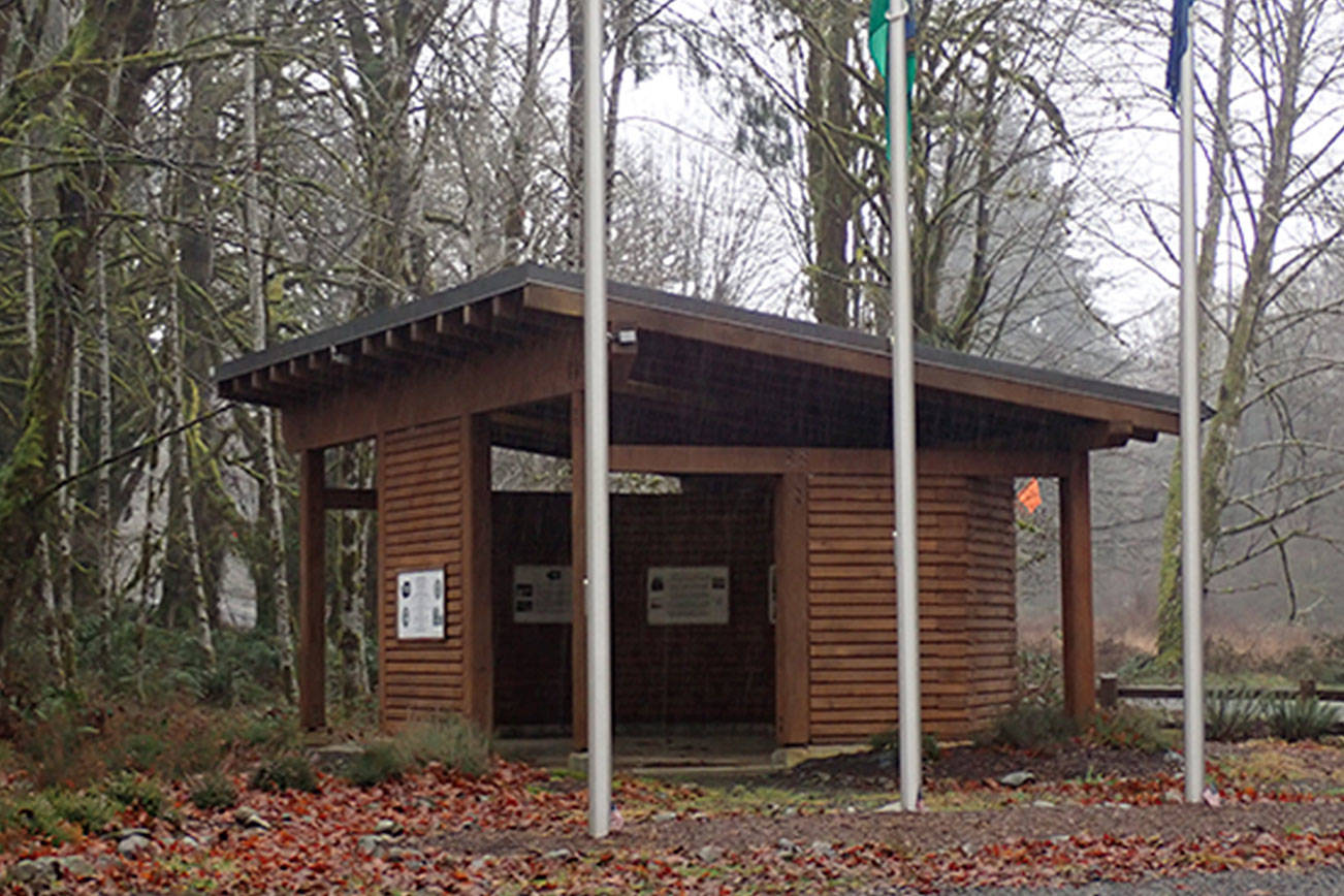 PAT NEAL: Rainforest expedition