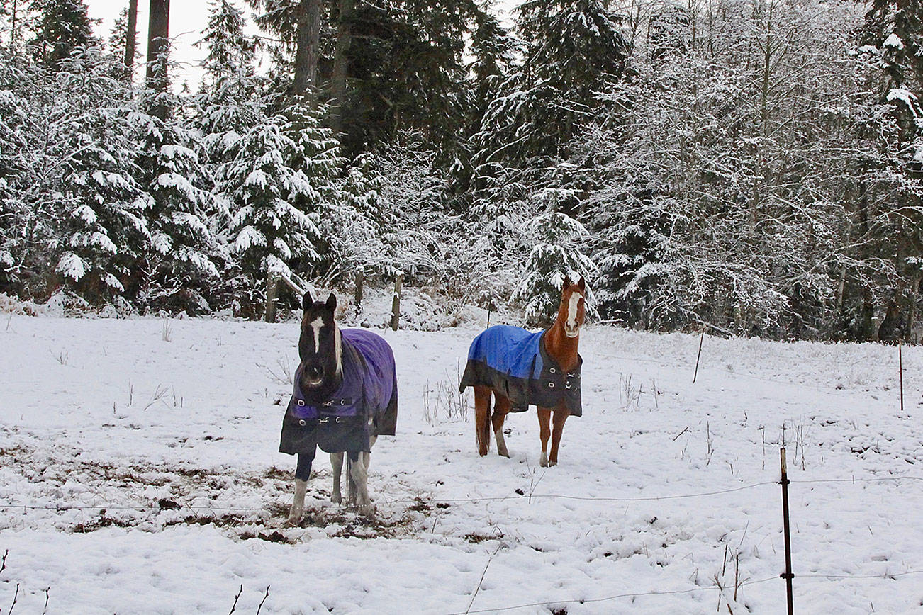 Clallam County officials getting ready for snow