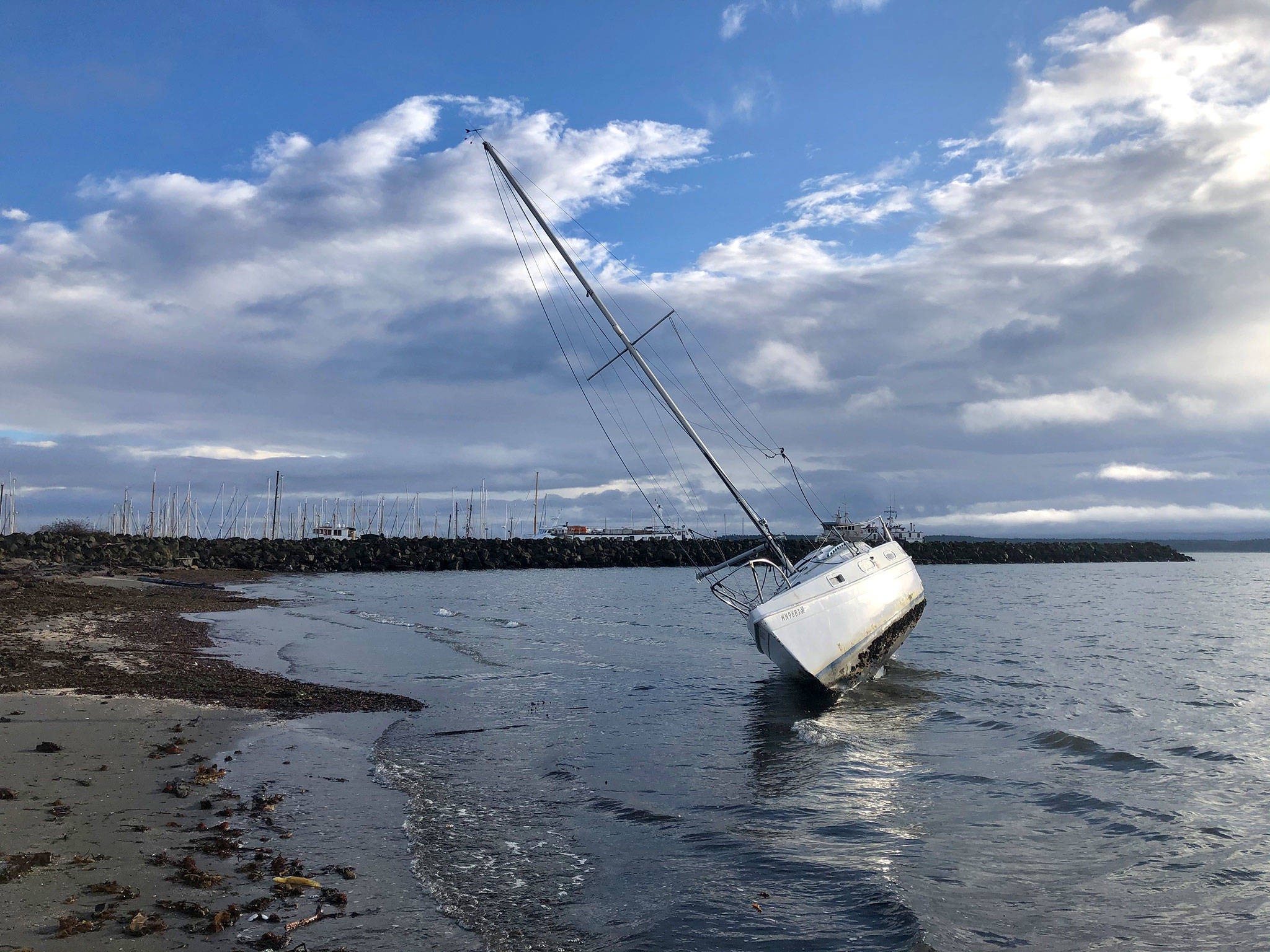 (Steve Mullensky/for Peninsula Daily News)