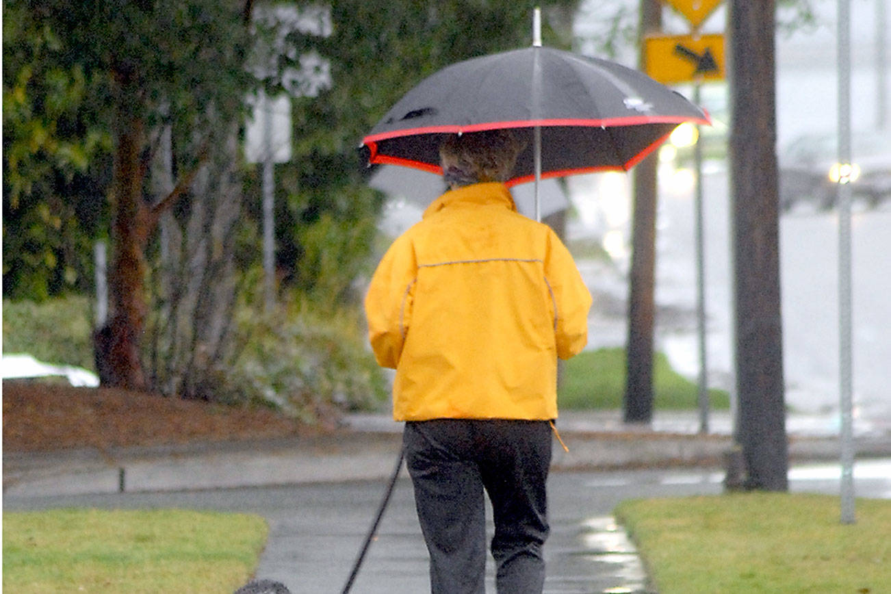 Getting through the gray days