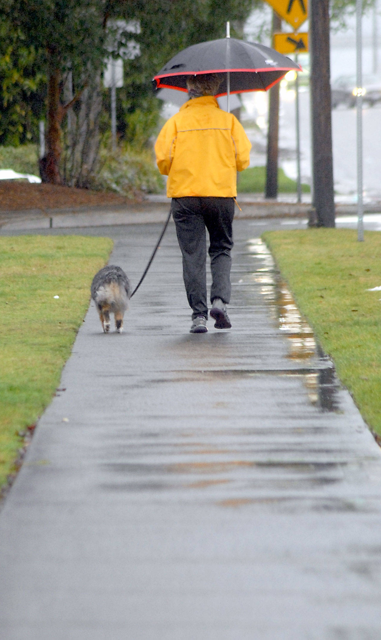 (Keith Thorpe/Peninsula Daily News)