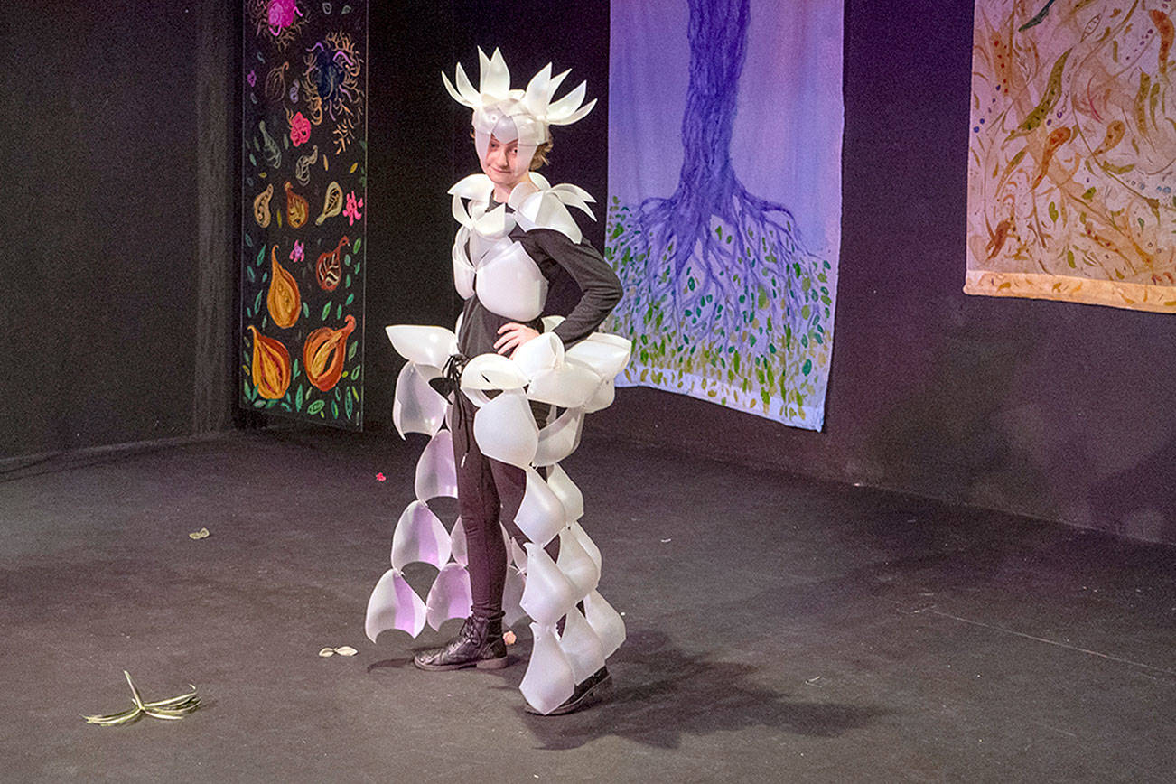 ‘Rebellion,’ ‘Beauty’ and ‘Apogee’ win in Port Townsend