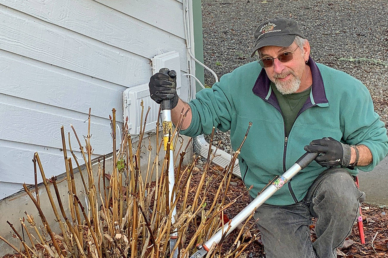 Pennies for Quarters, Great Decisions discussion set Thursday