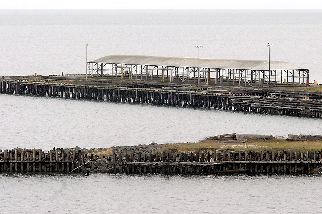 Opposition to Rayonier site plan pours in