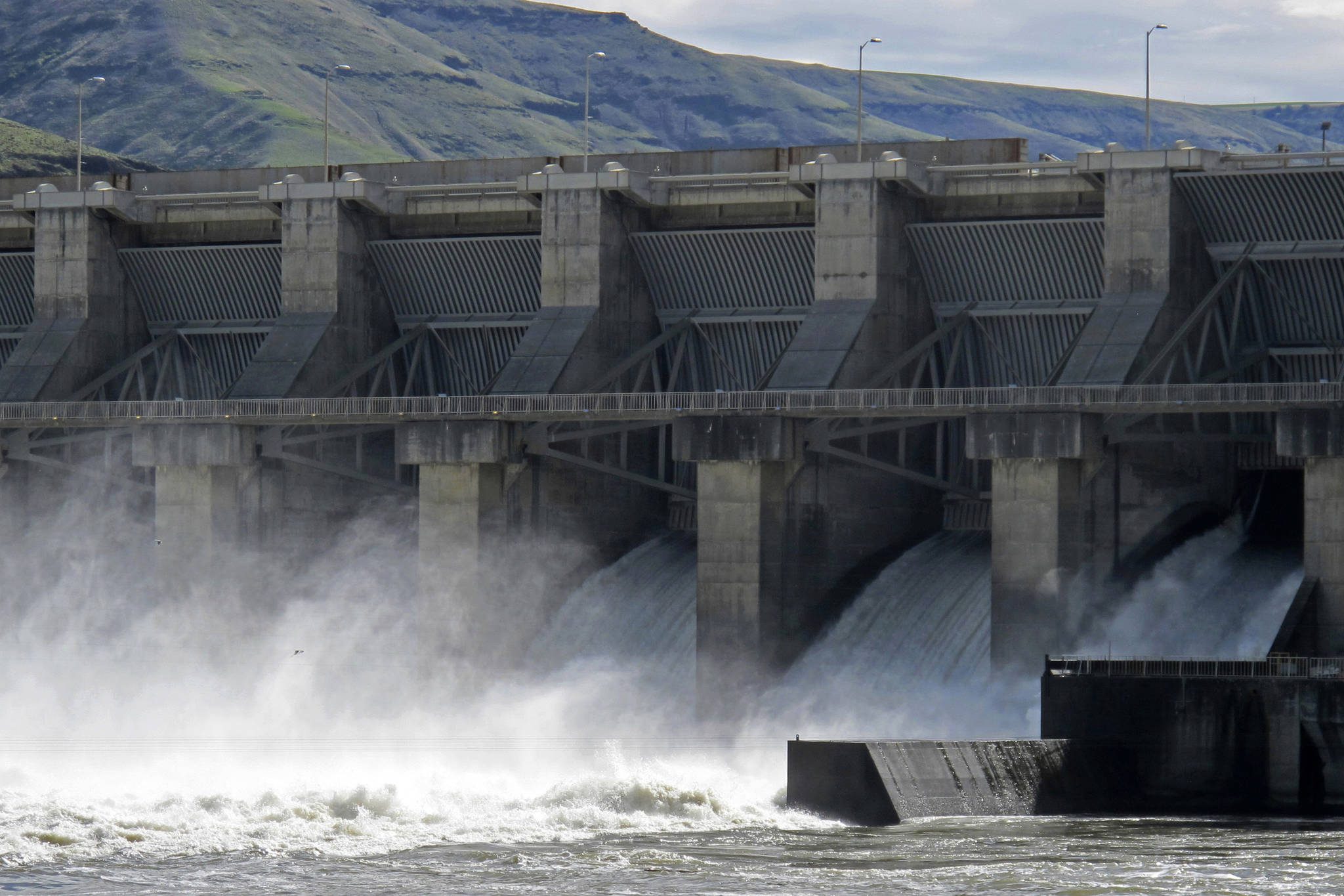 Feds reject removal of Snake River dams in key report