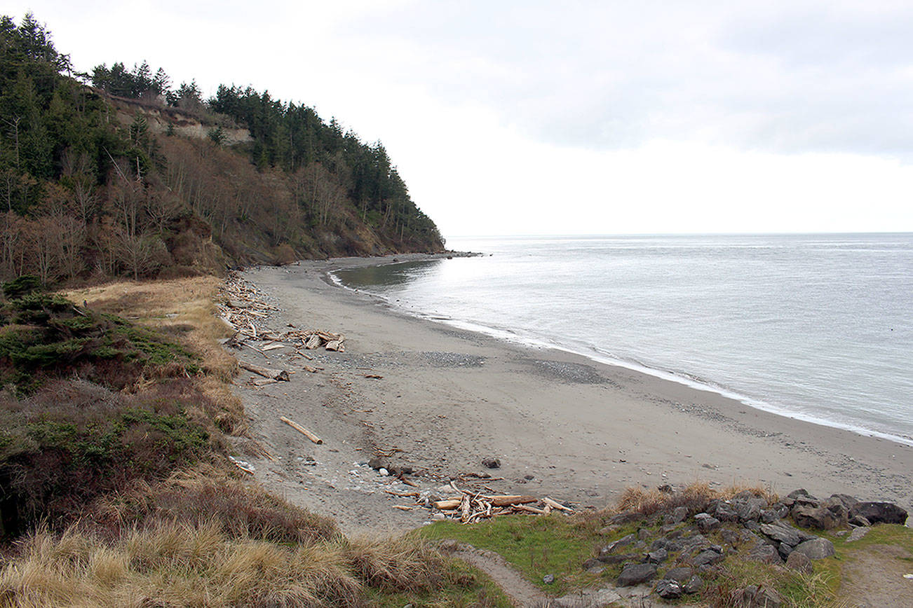 Navy eyeing SEALs training at state parks