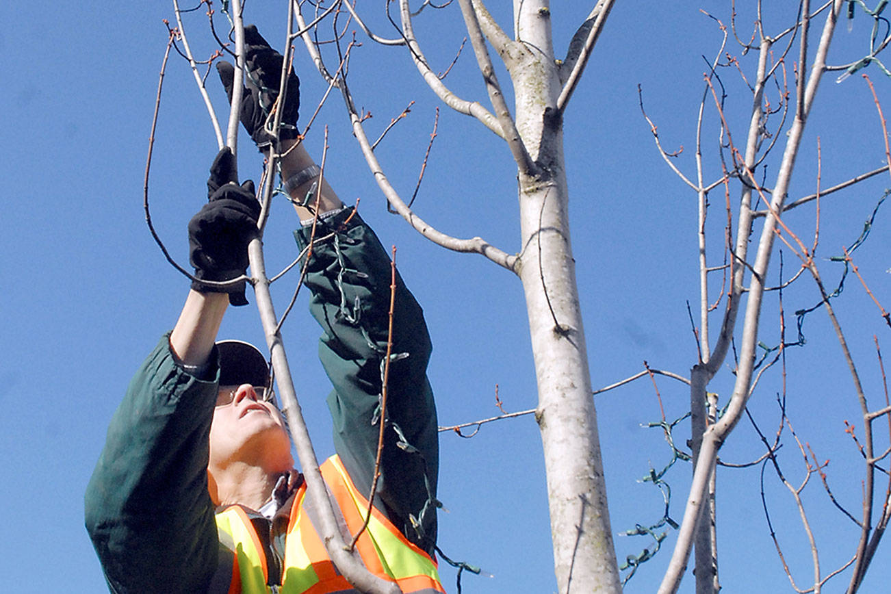 Christmas lights come down