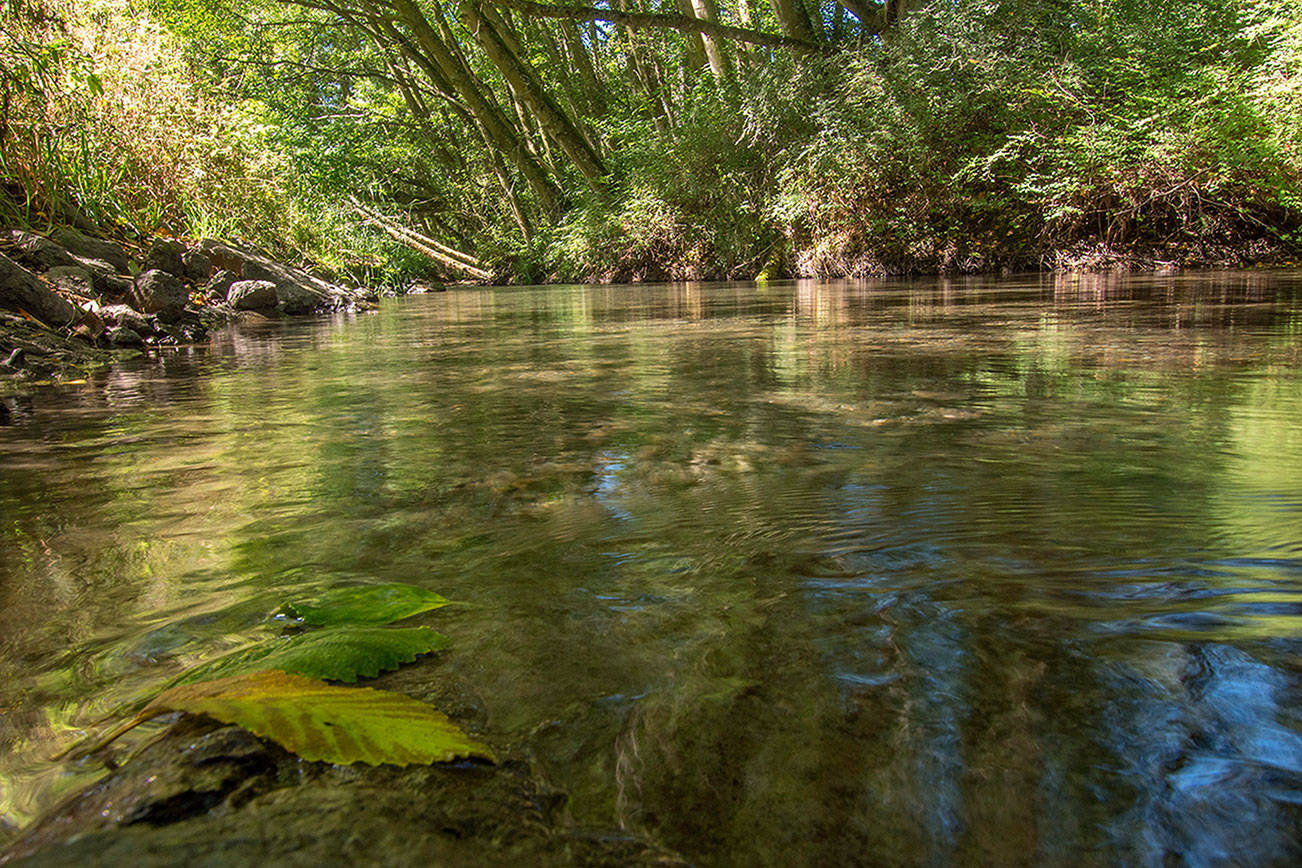 River’s Edge purchase step in Dungeness River preservation project
