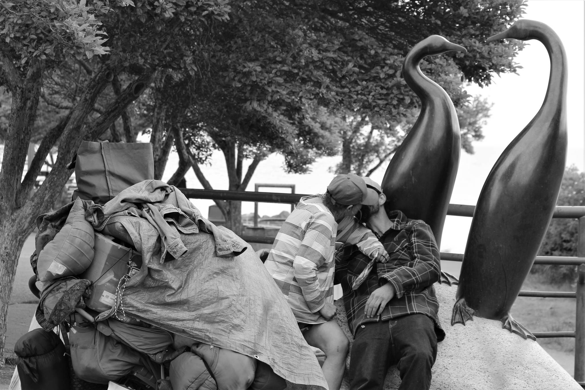 “Essentials” by Kyle Vanous of Port Angeles took top honors in the Tidepools 2020 contest for “Essentials.”