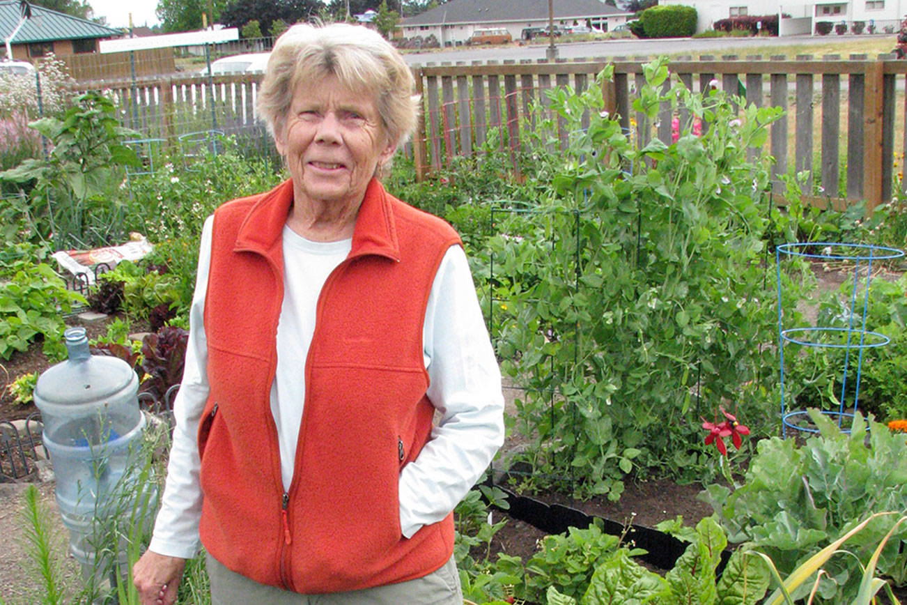 ‘Plant Defensive Communication’ lecture over livestream