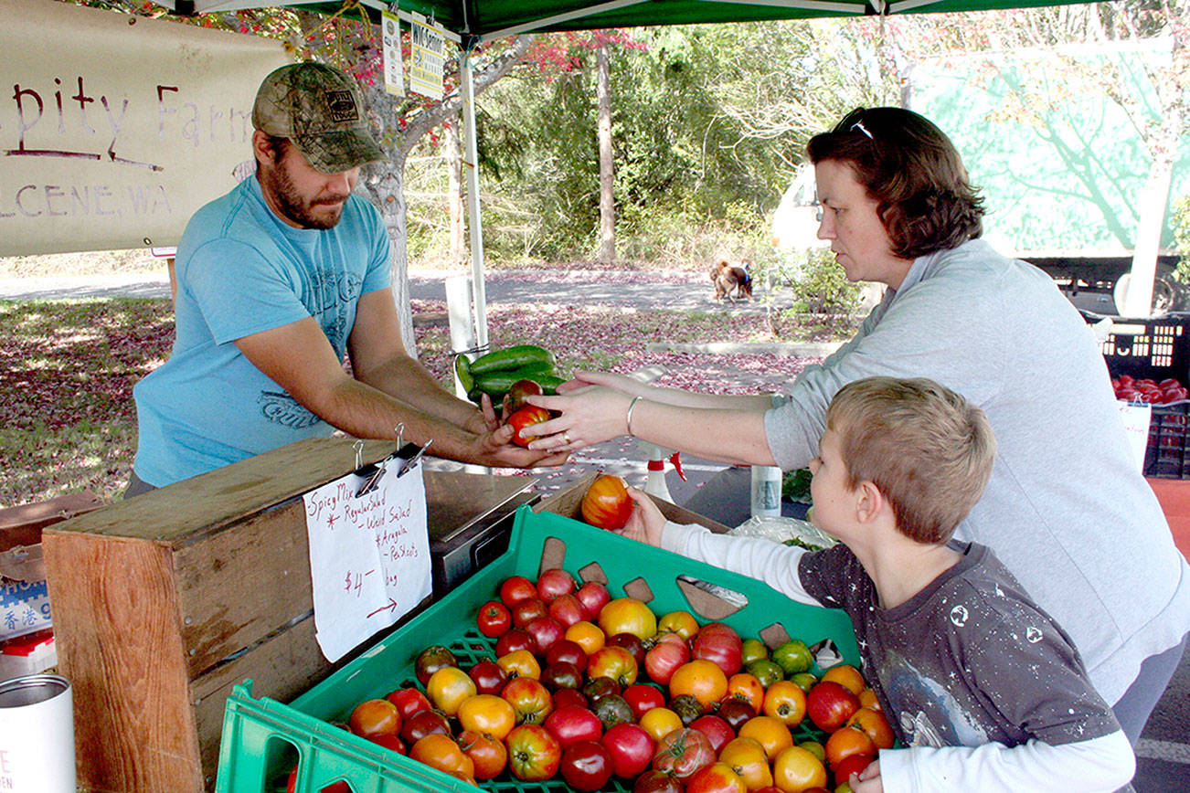 Port Townsend Farmers Market opening postponed