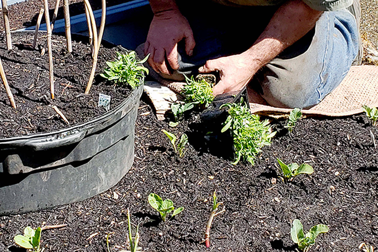 A GROWING CONCERN: A good start leads to a great finish