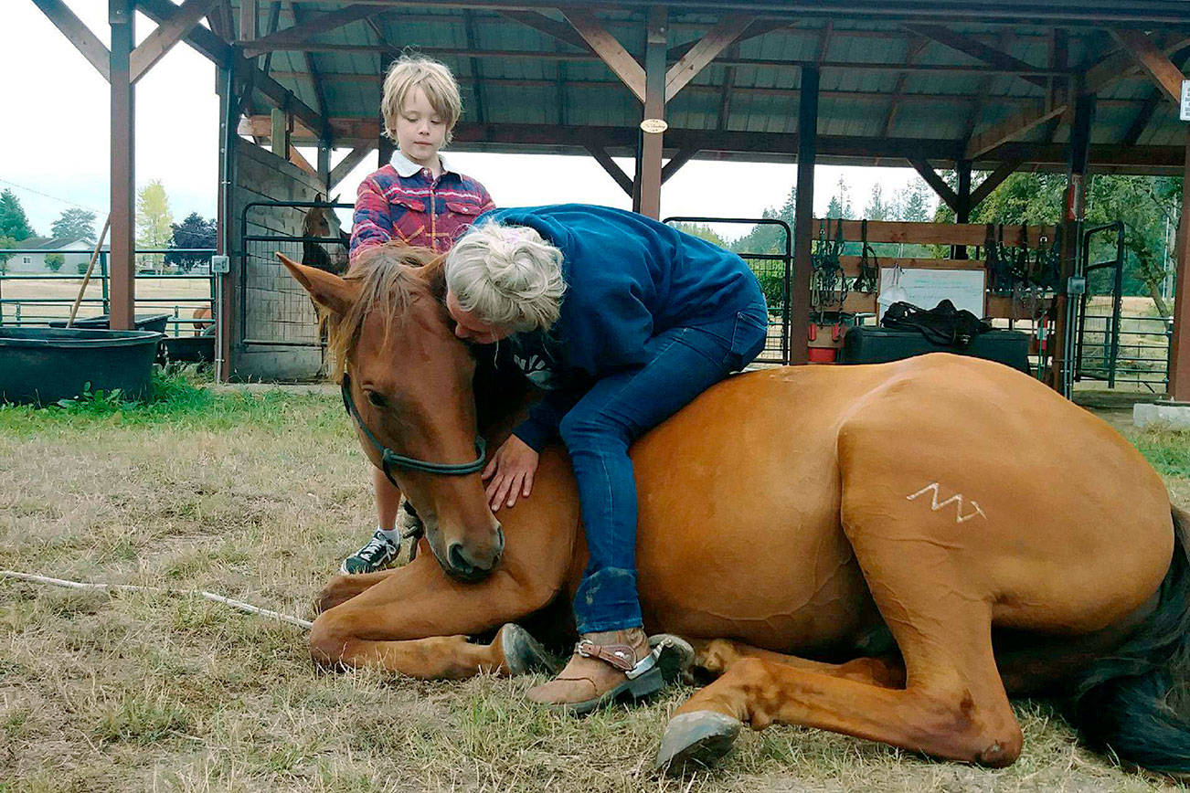 HORSEPLAY: Be a leader for your horse