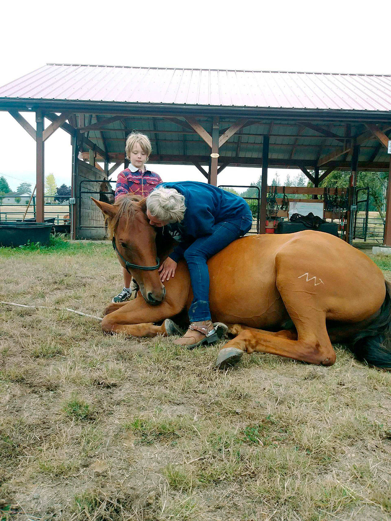 OPEN’s horse trainer Kate Tibbets with Goose, a gelding she’s sitting on and kissing after teaching him to lay down on command, with the help of her son Fin. Previously Goose was a money-winning barrel racer who was given to OPEN after he was injured and couldn’t race anymore. While he can’t race anymore, now that he’s healed Goose is available for adoption as good walk/trot trail horse. (Diane Royall/OPEN)