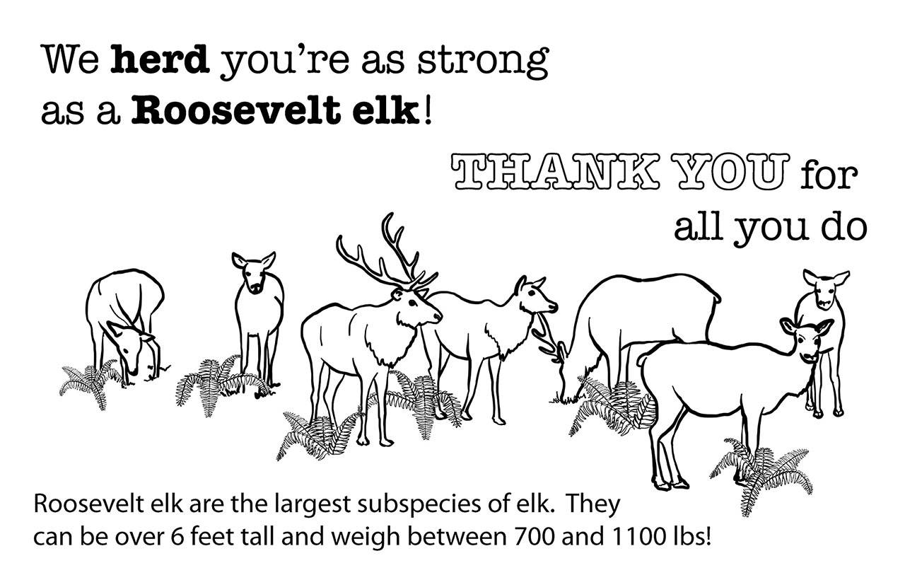 Olympic National Park offers online activities