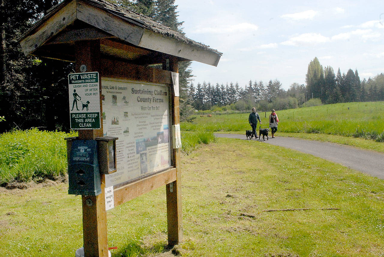 Siblings Sebastian and Kylee Tolle-Meyer of Sequim, along with dogs Max and Rue, walk through Robin Hill Farm County Park east of Sequim on Tuesday, May 5, 2020. Although the Olympic Discovery Trail through the park never closed, the park and its trails had been closed by Clallam County to slow the spread of COVID-19 until its reopening Tuesday. (Keith Thorpe/Peninsula Daily News)