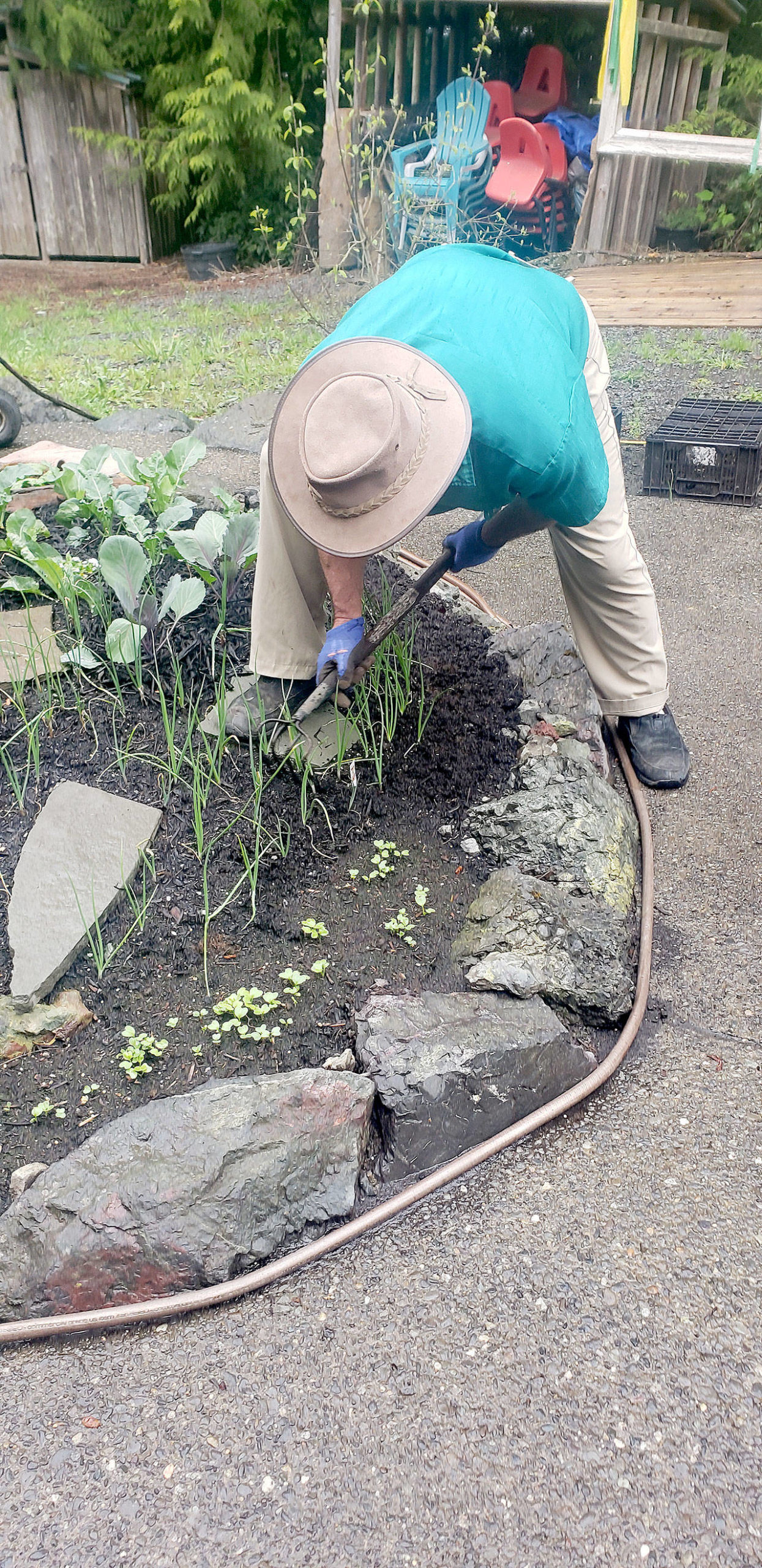 Cultivating the soil every couple weeks is one of the best ways to break up the surface crust and help in atmospheric exchange. (Andrew May/For Peninsula Daily News)