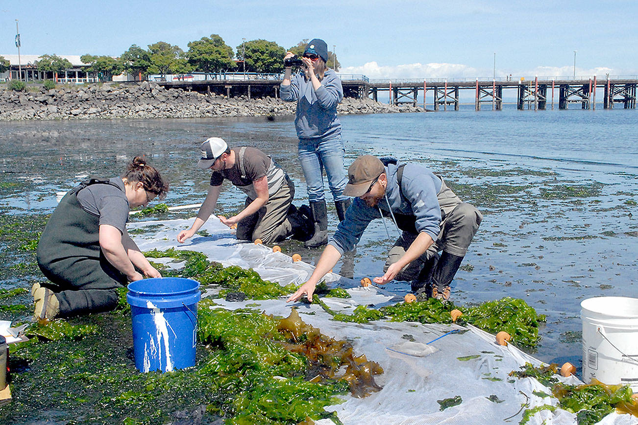 Netting an education