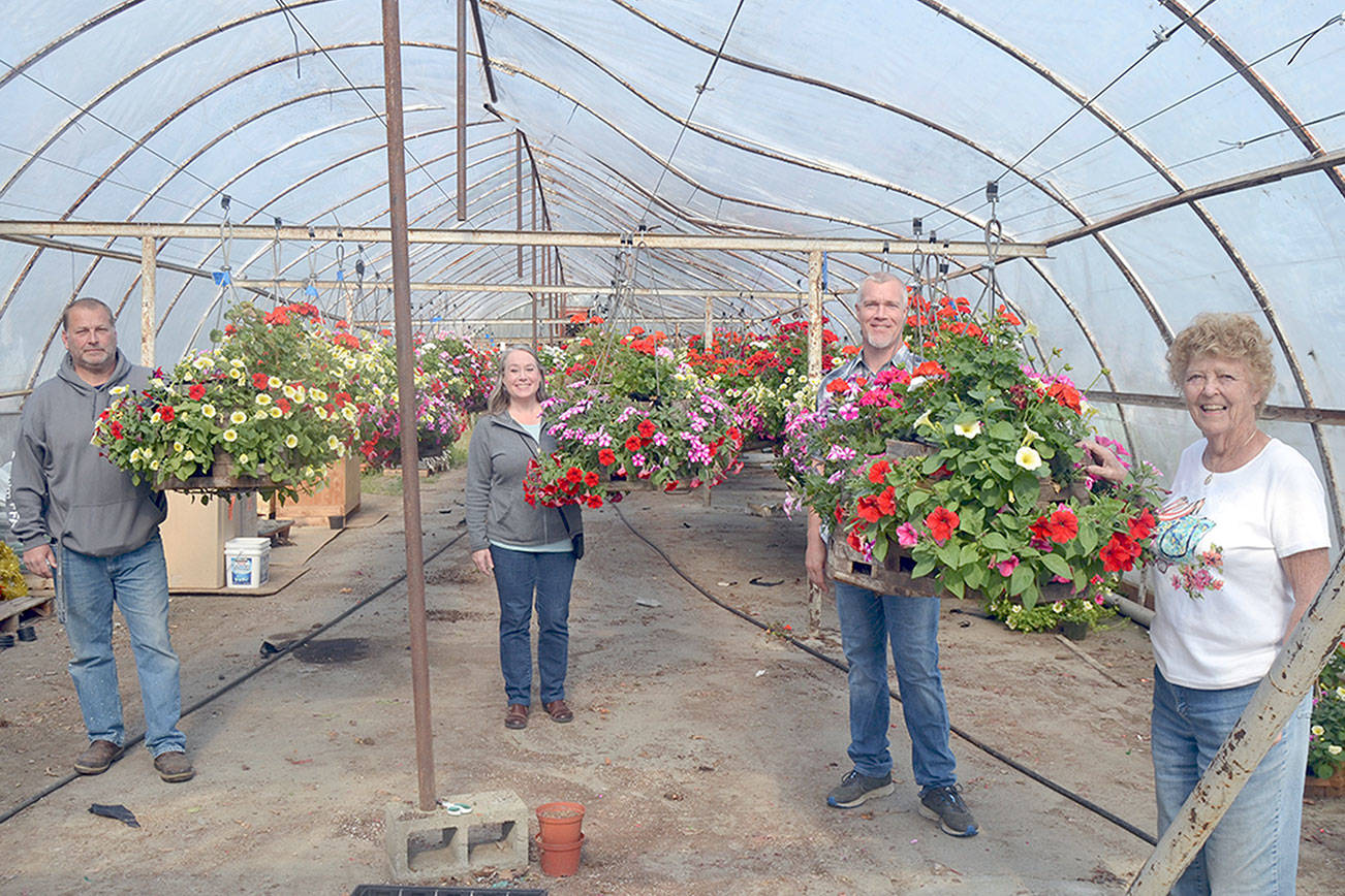 Flower baskets no matter what