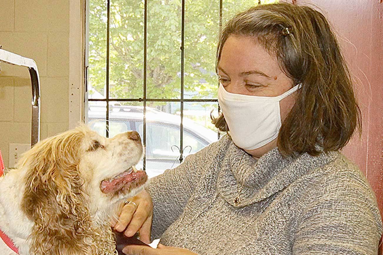 Peninsula businesses start to open doors