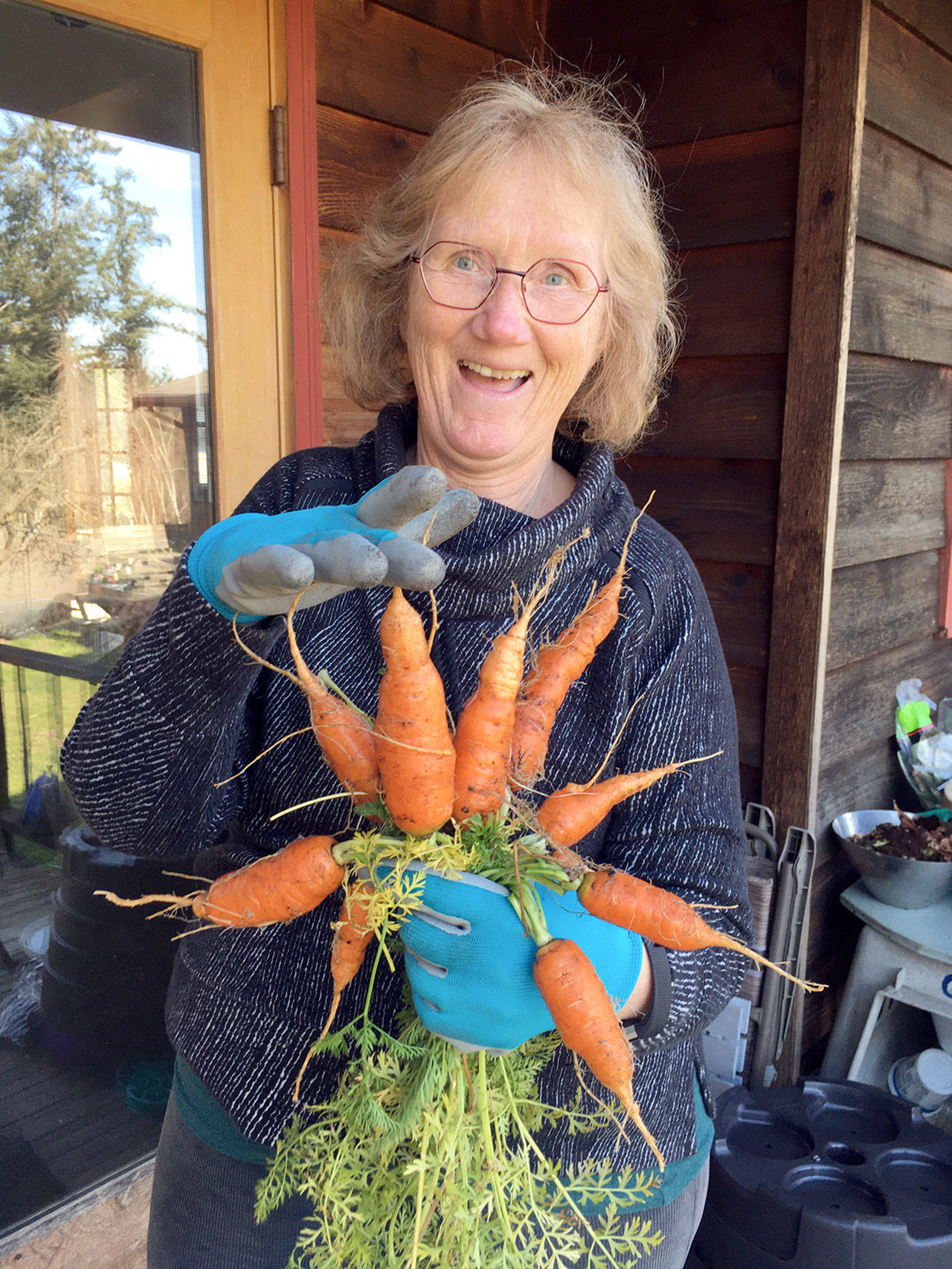 Jefferson County master gardener Nita Wester will discuss native bees at a Green Thumb gardening lecture Thursday.