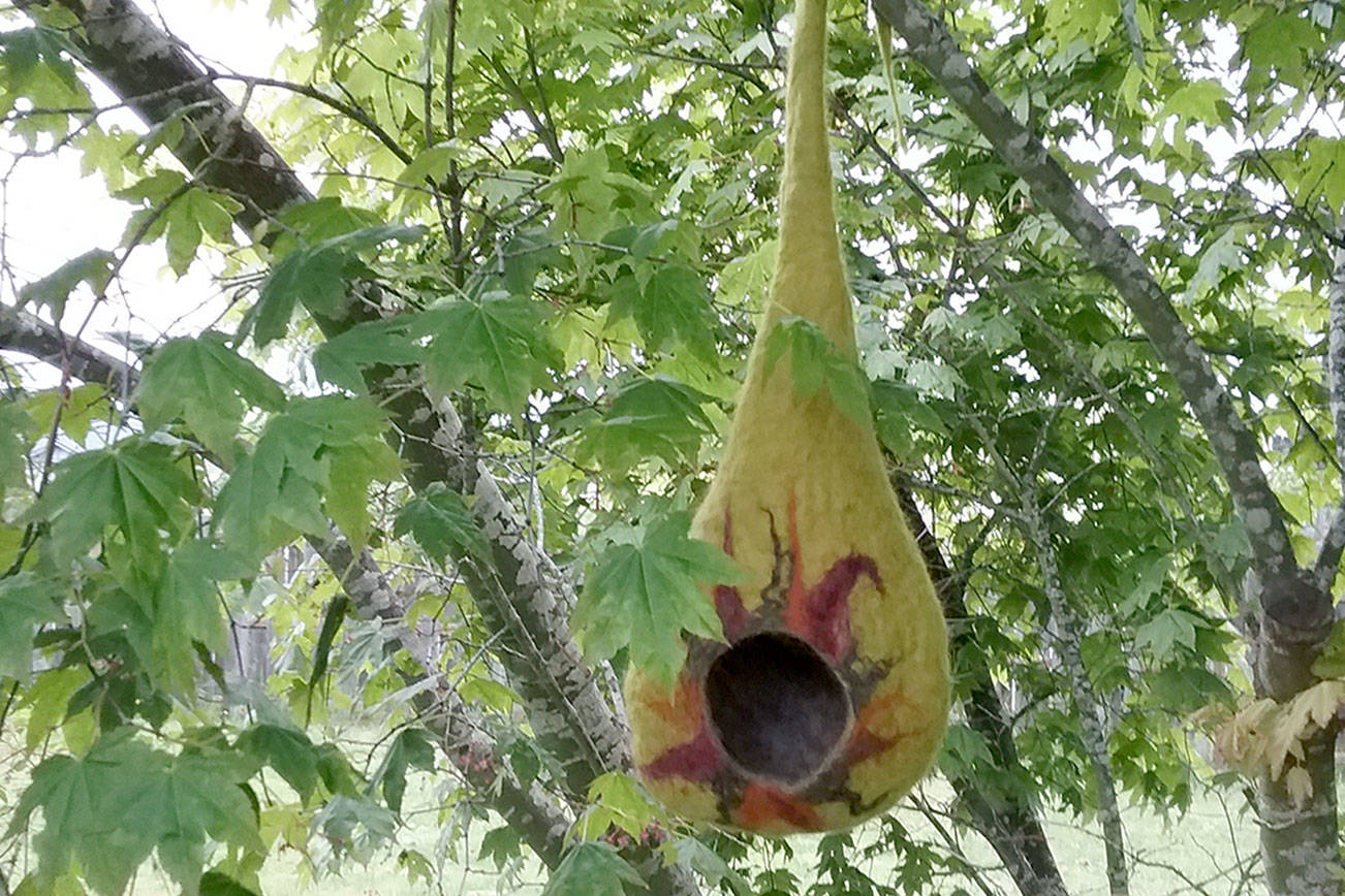 New sculptures added to Webster’s Woods