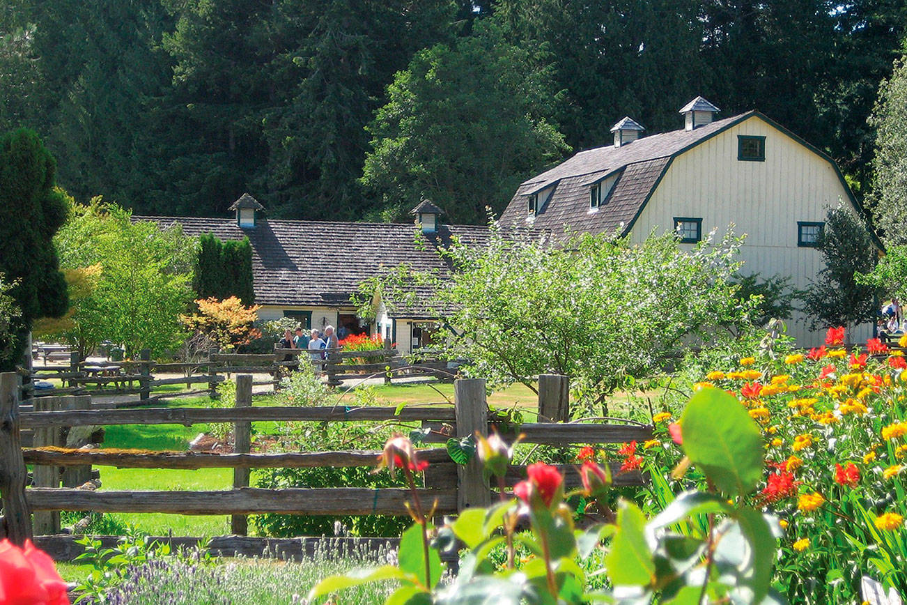Concerts in the Barn to be online this season