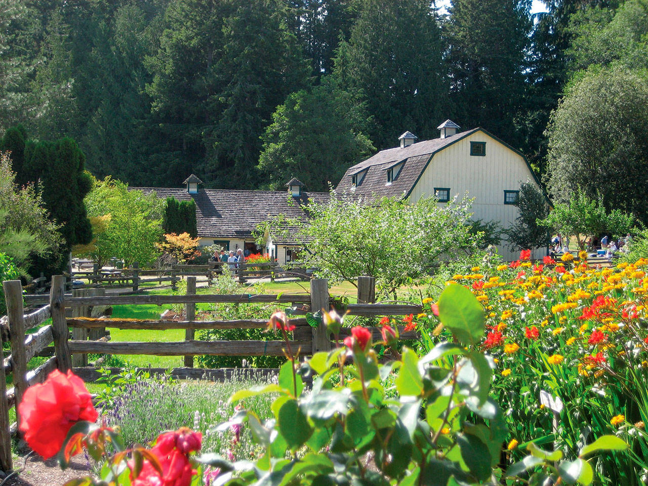 The performances of the 2020 Concerts in the Barn will be online to maintain COVID-19 precautions.