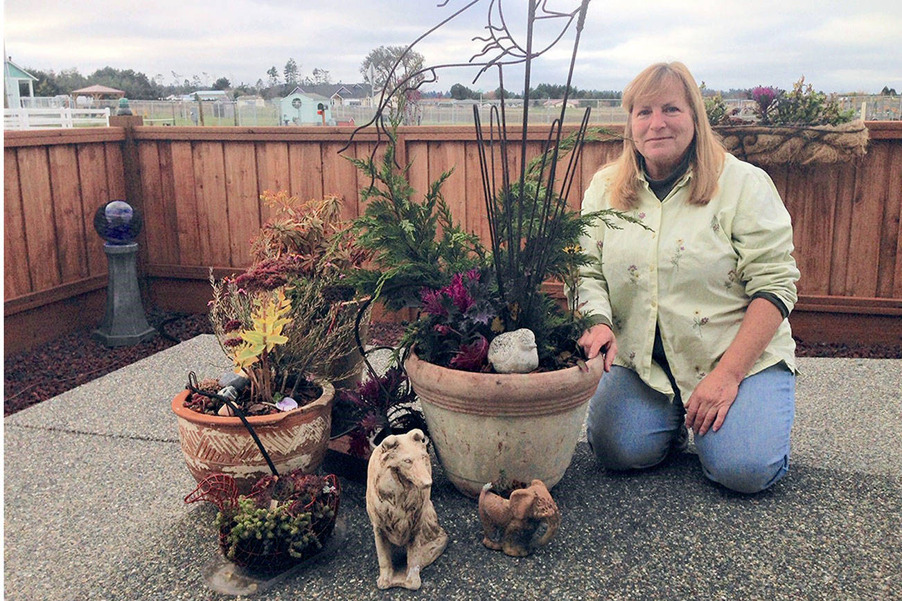 Green Thumb virtual lecture focuses on irrigation