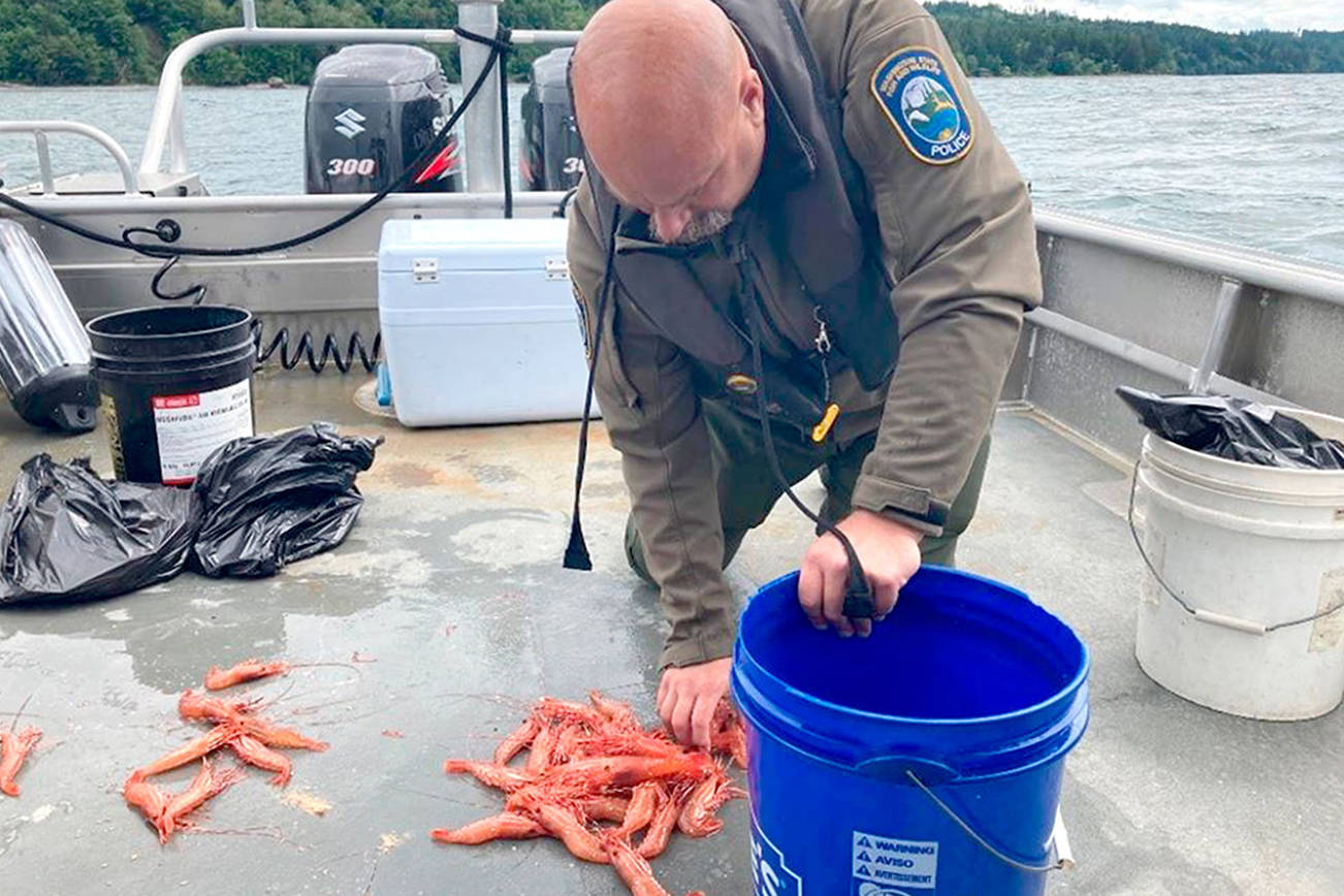 OUTDOORS: Halibut catch quota remains, August dates looking likely