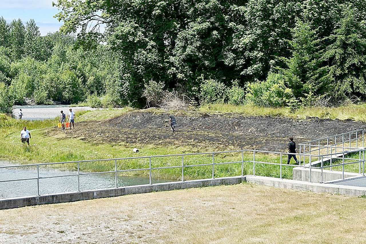 A fire burned a 100- by 30-foot section of grass near the Lower Elwha Tribe’s fish hatchery on Sunday. The fire was extinguished by a bucket brigade and Clallam County Fire District No. 2. (Jay Cline/Clallam County Fire District No. 2)
