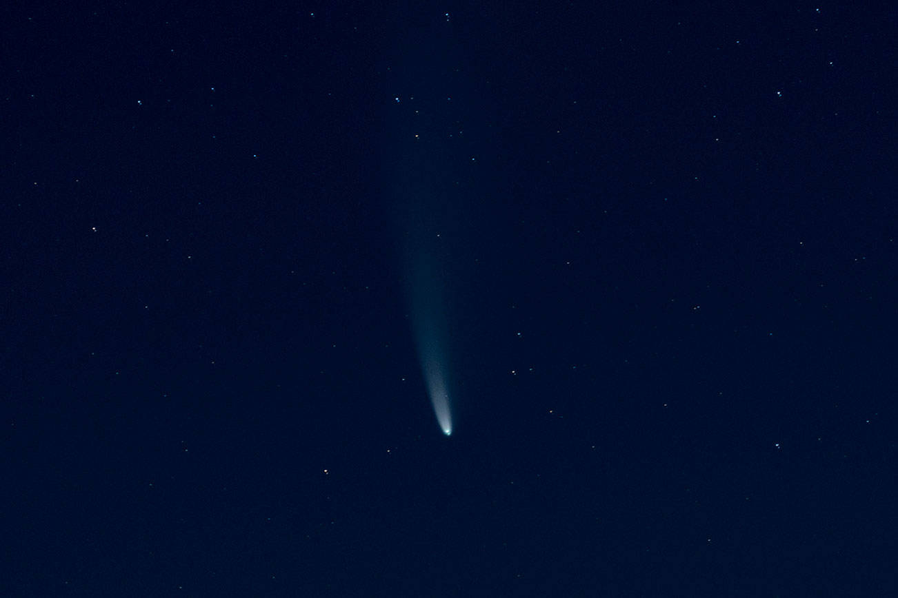 Comet NEOWISE lights up sky
