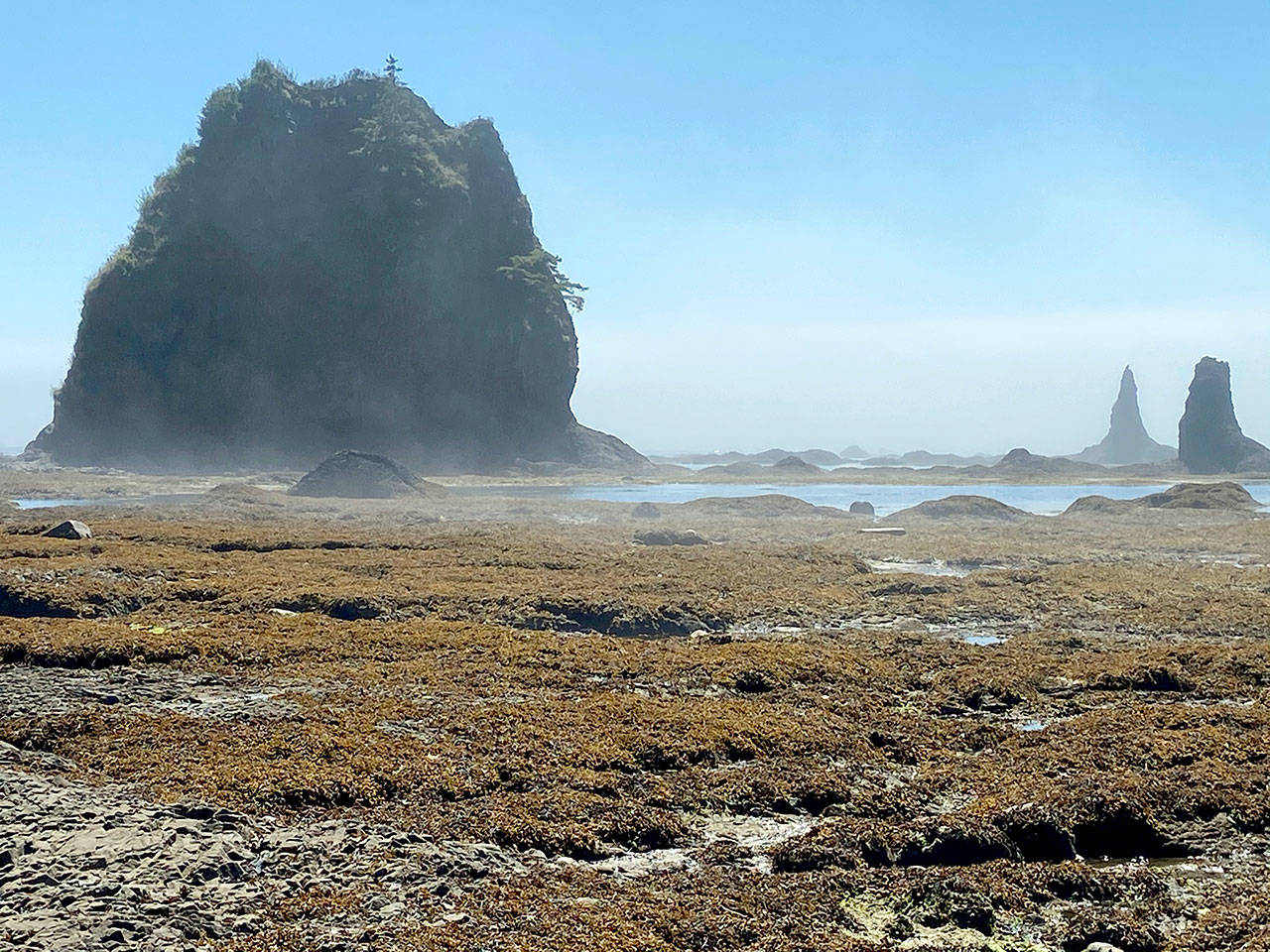 Sea stacks appear south of Cape Alava. (Rob Ollikainen/Peninsula Daily News)