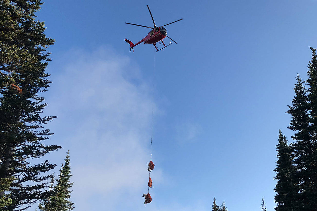 More than a dozen goats removed in ONP operation