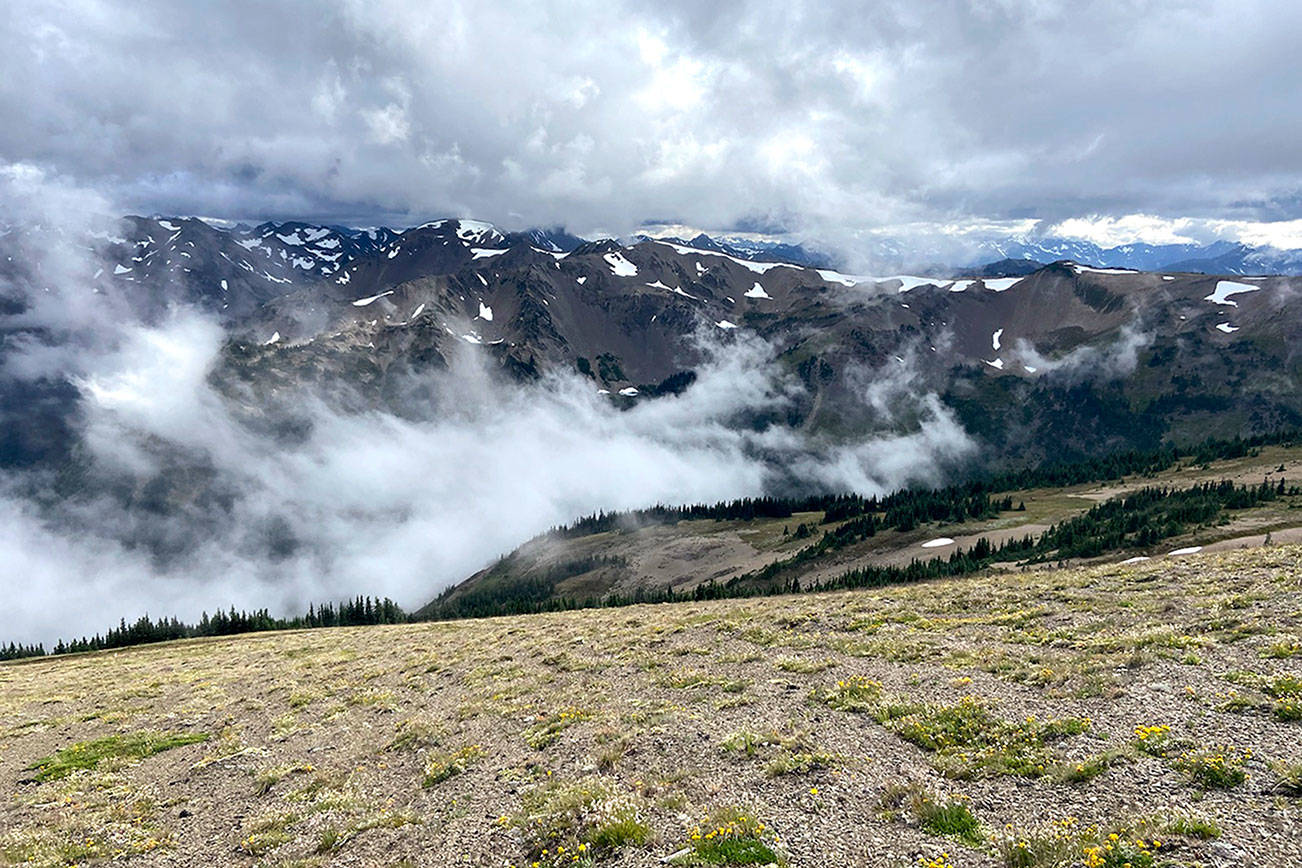 Hikers see heart of Olympic Mountains