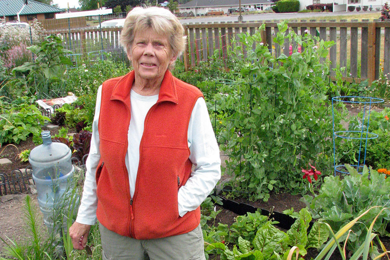 Presentation on growing, preserving organic garlic set