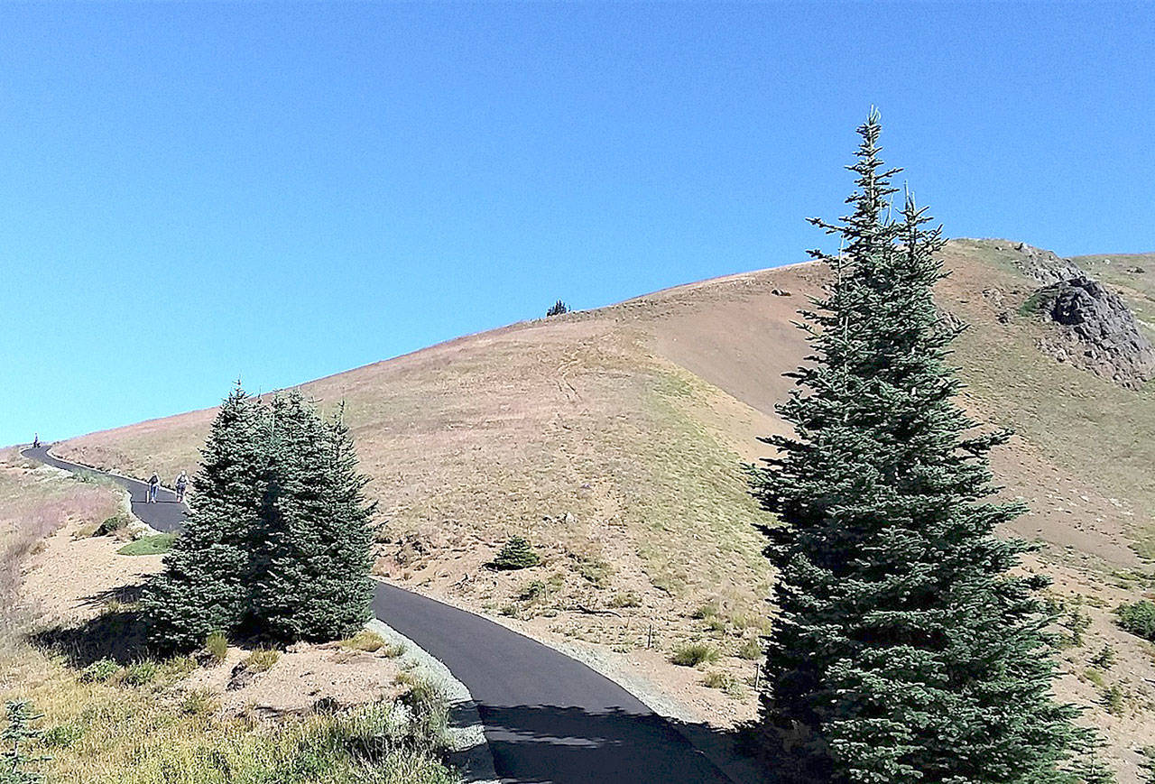 The newly rebuilt trail to the summit of Hurricane Hill was opened by Olympic National Park on Aug. 10. (Pierre LaBossiere/Peninsula Daily News)