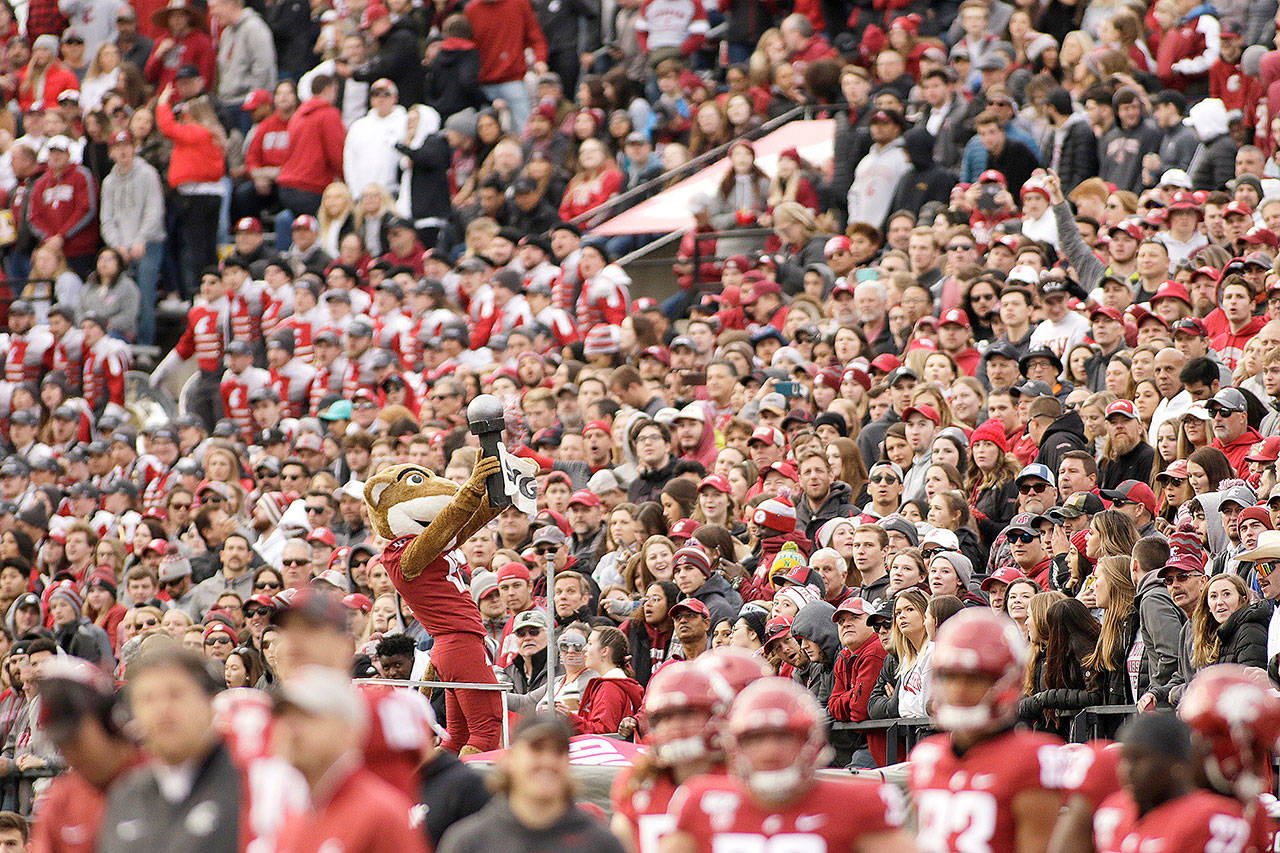 In this Nov. 16, 2019, photo, a packed crowd looks on as Washington State mascot Butch T. Cougar performs during an NCAA college football game between Washington State and Stanford in Pullman, Wash. The athletes weren’t the only ones impacted when Washington State’s fall football season was canceled by the coronavirus pandemic. Merchants in tiny Pullman, who depend on big football crowds, say they are losing a major chunk of their annual income. Pullman, the most remote outpost in the PAC-12, has only 34,000 residents and many businesses in town depend on visitors attracted by football games, graduation and other special events. (AP Photo/Young Kwak)