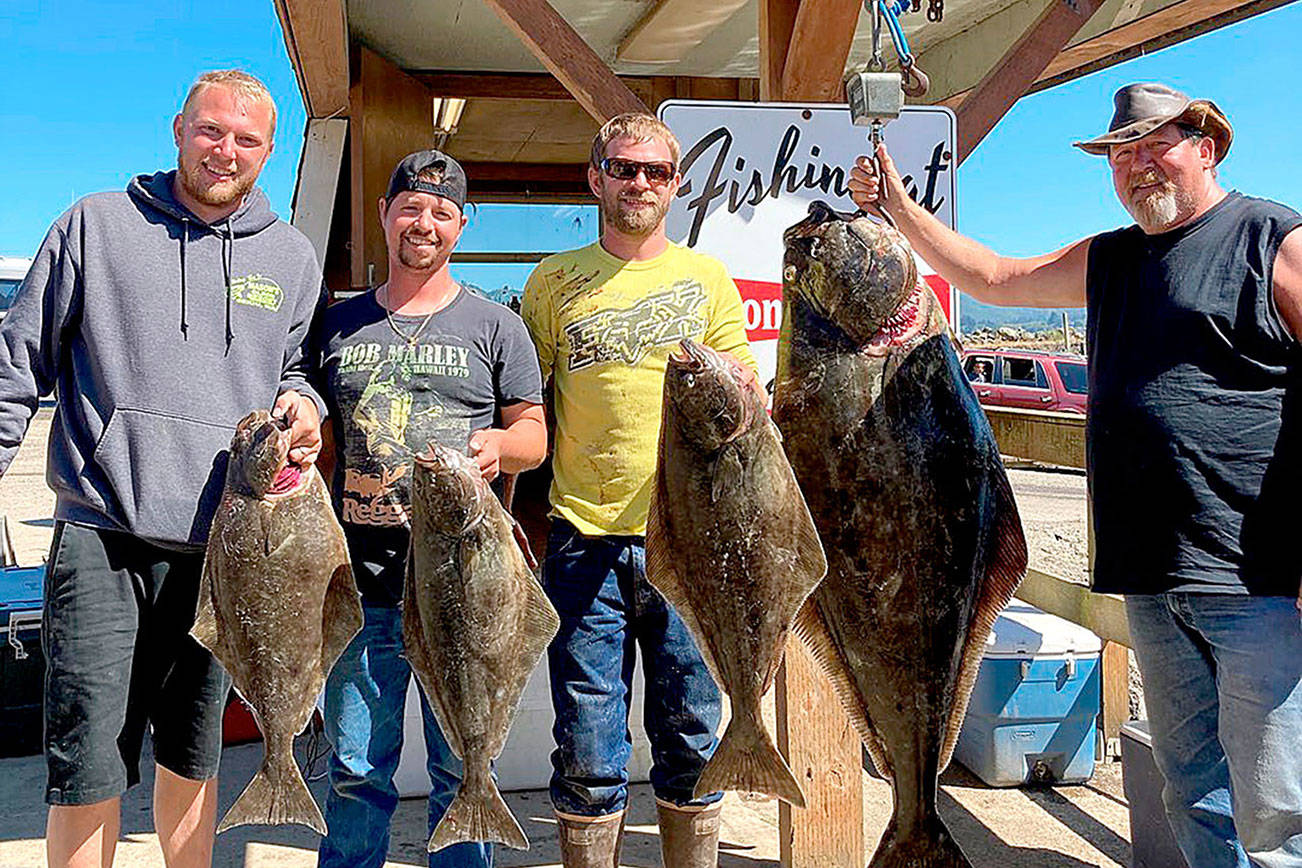 SPORTS SHOT: Halibut catch at Mason’s Olson Resort