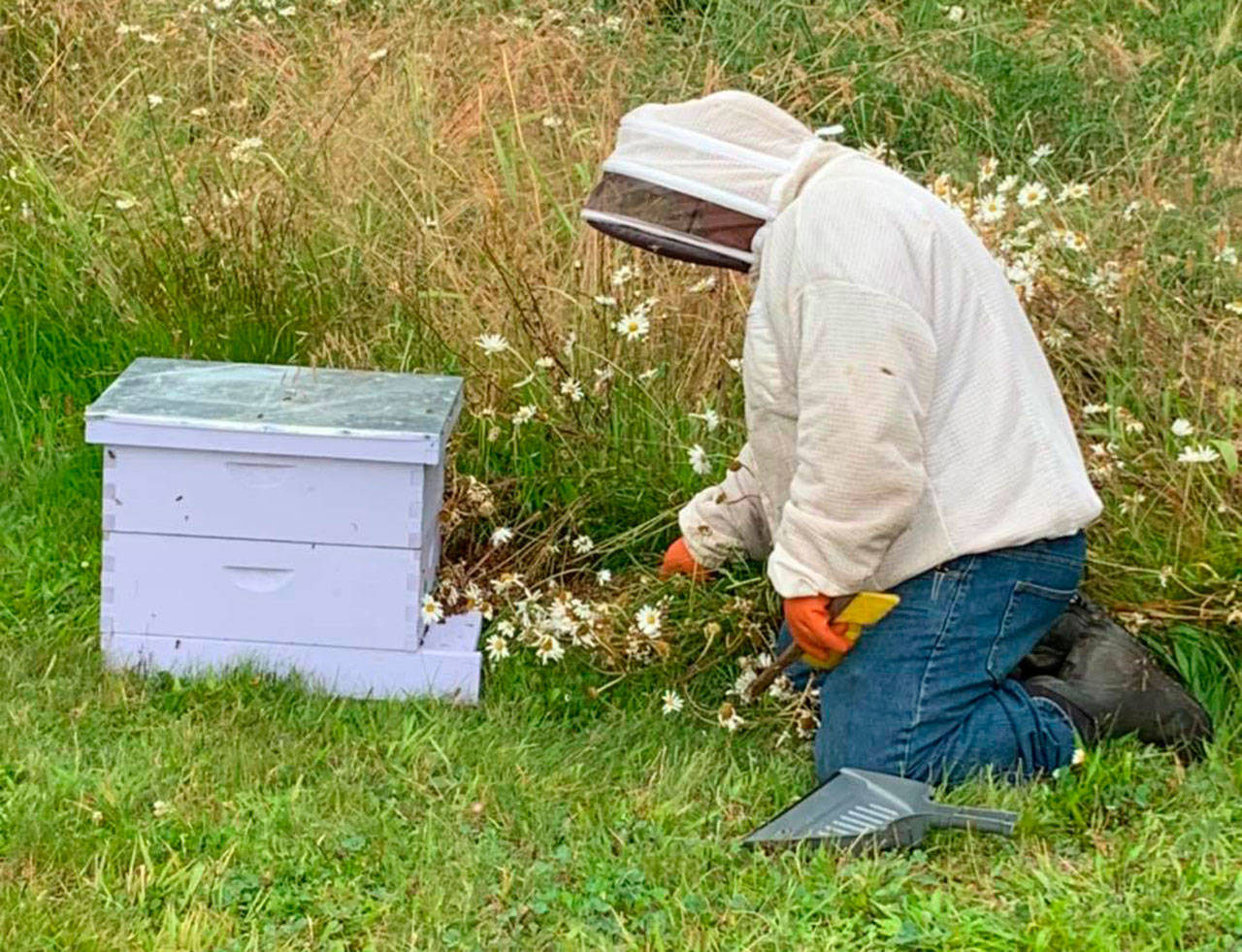 Megan DePew, co-owner of Sequim Bee Farm, will discuss honey-beekeeping via Zoom on Thursday. (Submitted photo)