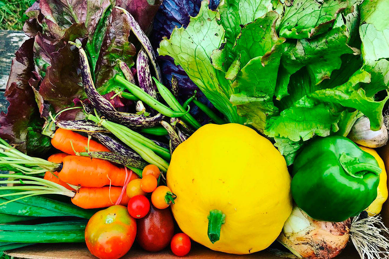 North Olympic Land Trust picks CSAs for 22nd Farmer of the Year