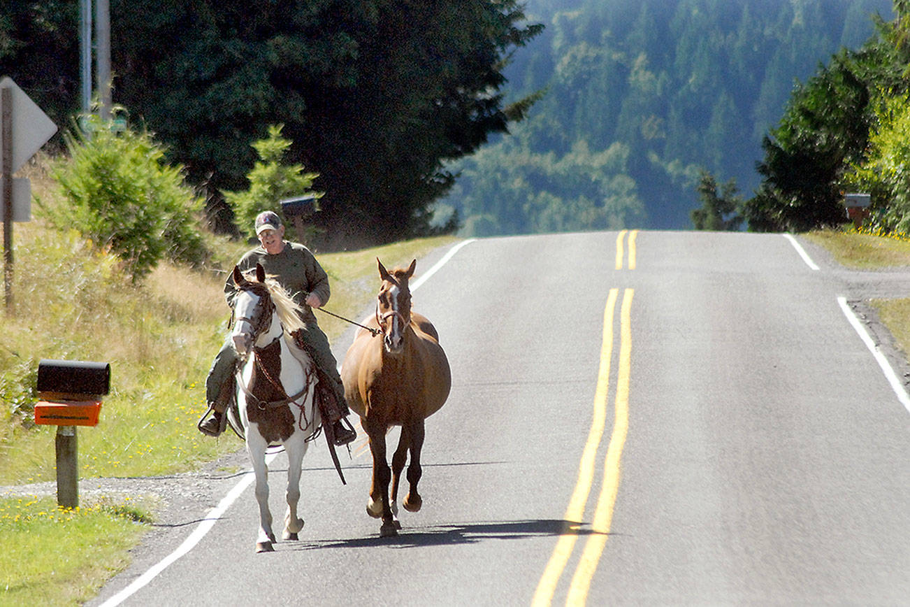 Freshwater horses head home