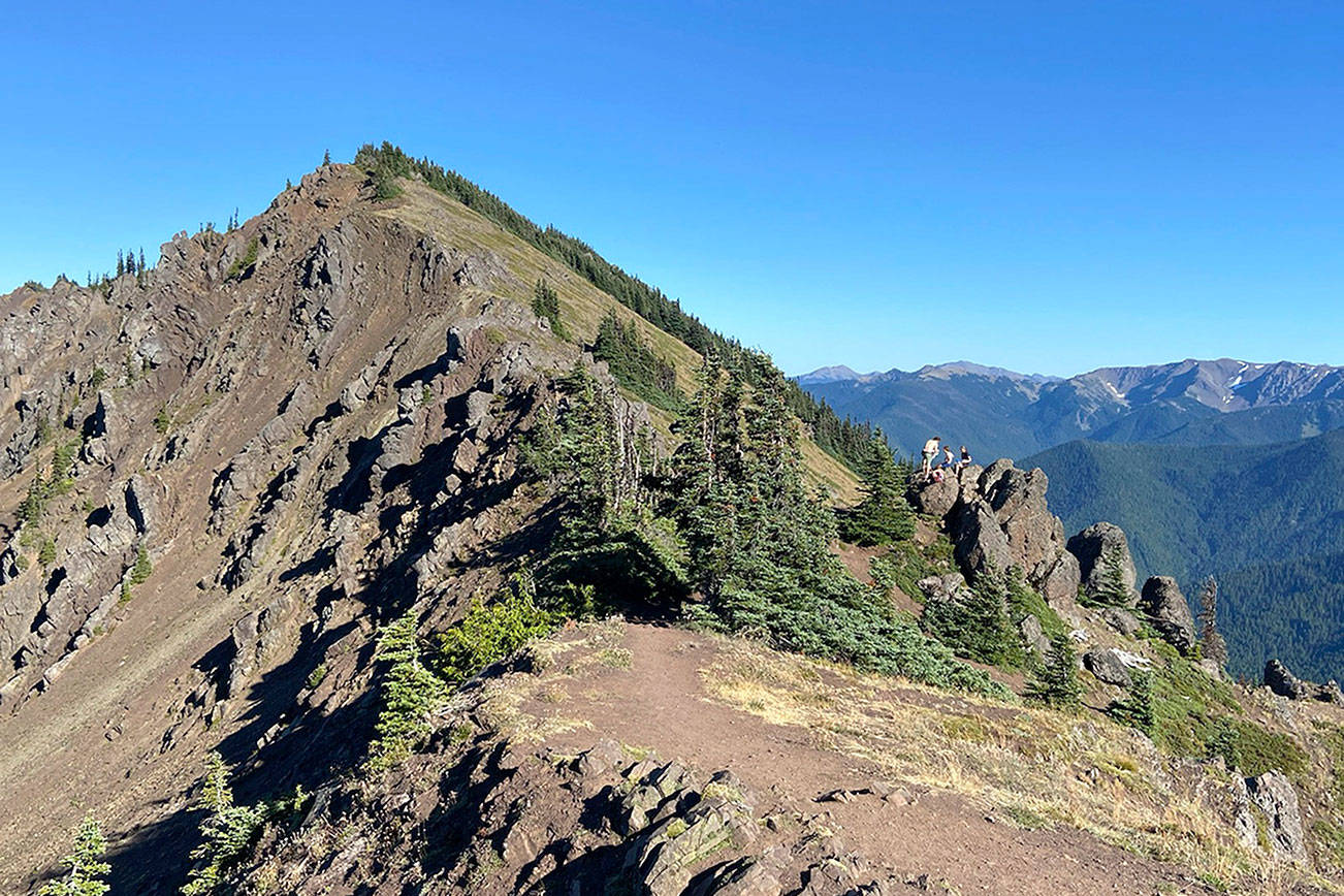 Panoramic views from Klahhane Ridge