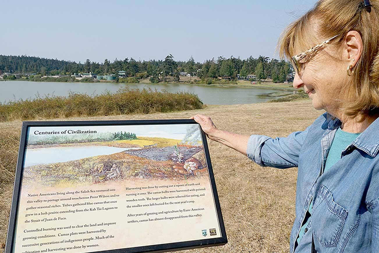 Interpretive panels reveal natural, cultural history at Chinese Gardens