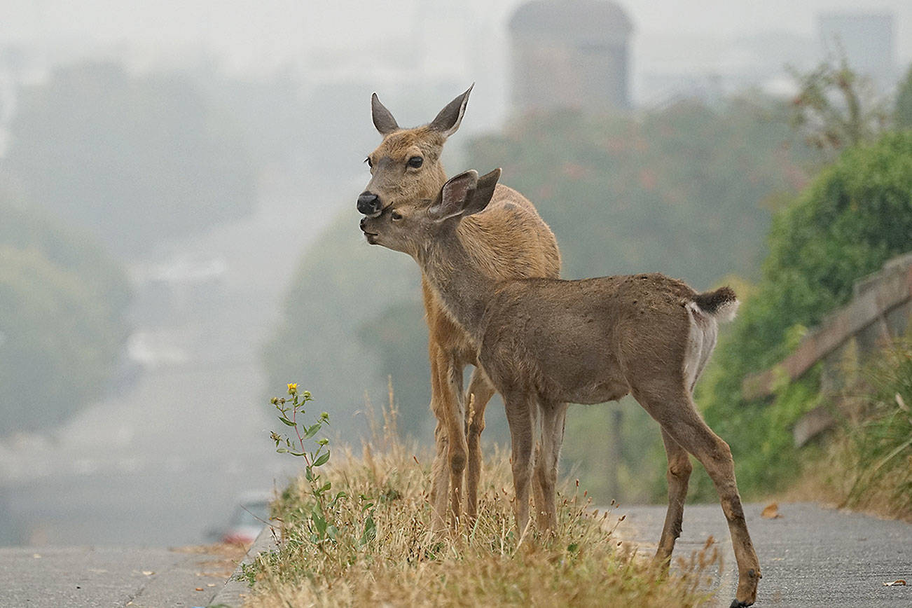 Breathing may be hazardous to your health