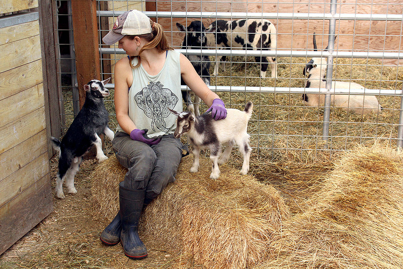 Animal rescue granted ownership of suspected abused animals